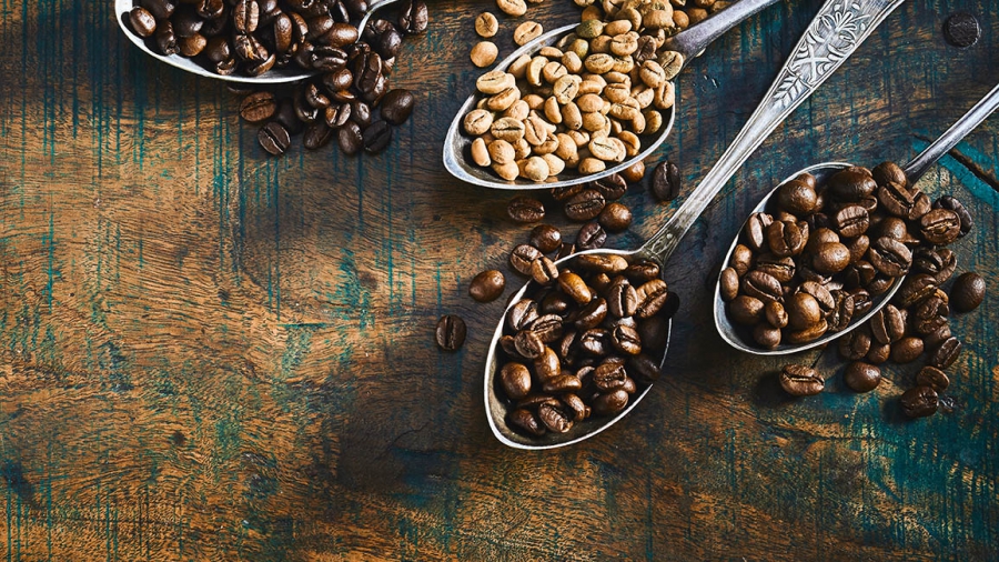 Assorted roasted and raw coffee beans displayed in the corner in vintage silver spoons overflowing onto a rustic wood table in a panorama banner with copy space